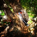 ugr_ahmt_02 adlı kullanıcı